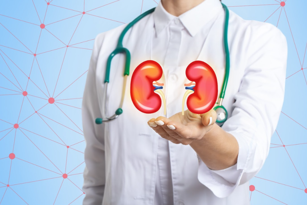 Understanding Chronic Kidney Disease (CKD)